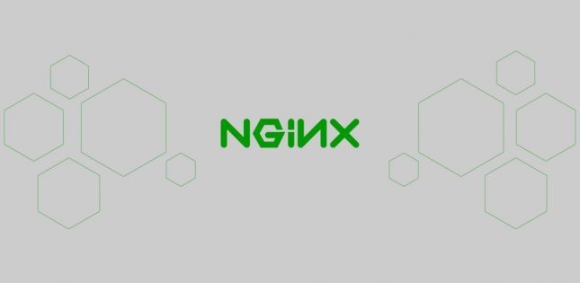 Mengenal Apa Itu Nginx Fungsi Dan Cara Kerjanya Yang