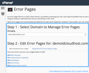 Cara Membuat Halaman Error pada cPanel - IDCloudHost