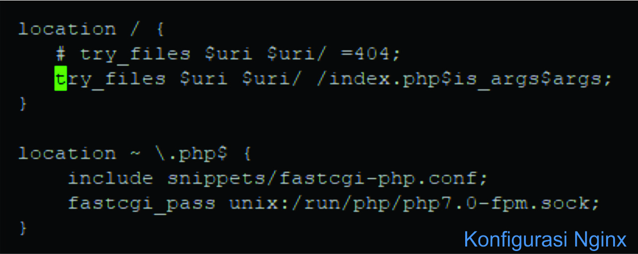 Cara Menginstal WordPress pada Nginx atau Lemp Ubuntu Server Cara Menginstal WordPress pada Nginx atau Lemp Ubuntu Server