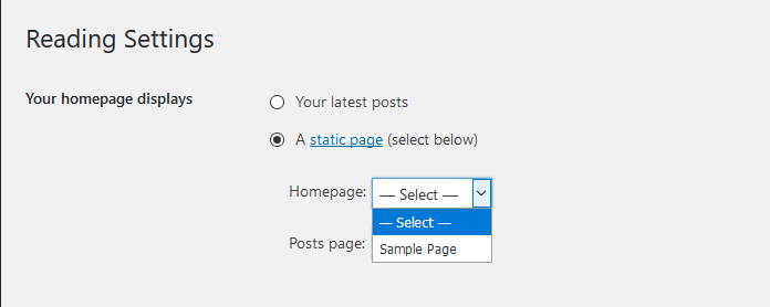 Panduan Mengelola Halaman Awal (Home Page) di WordPress