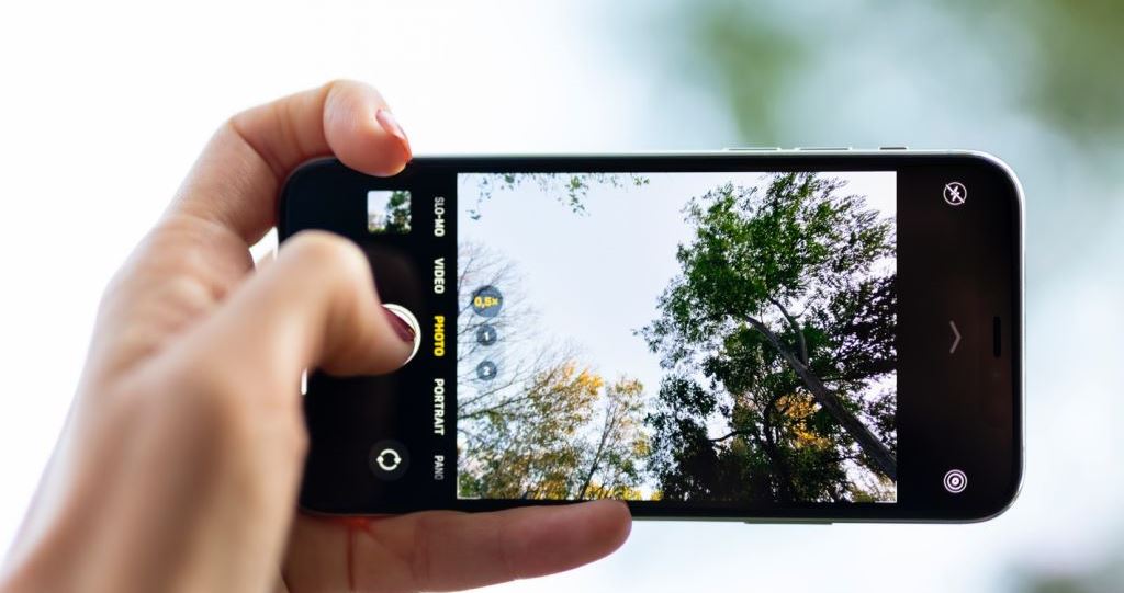 Cara Download Video Twitter GRATIS dengan Mudah dan Cepat